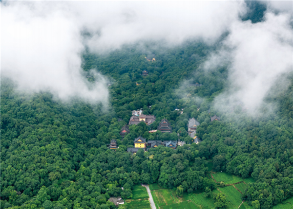 626316.png 626316.png