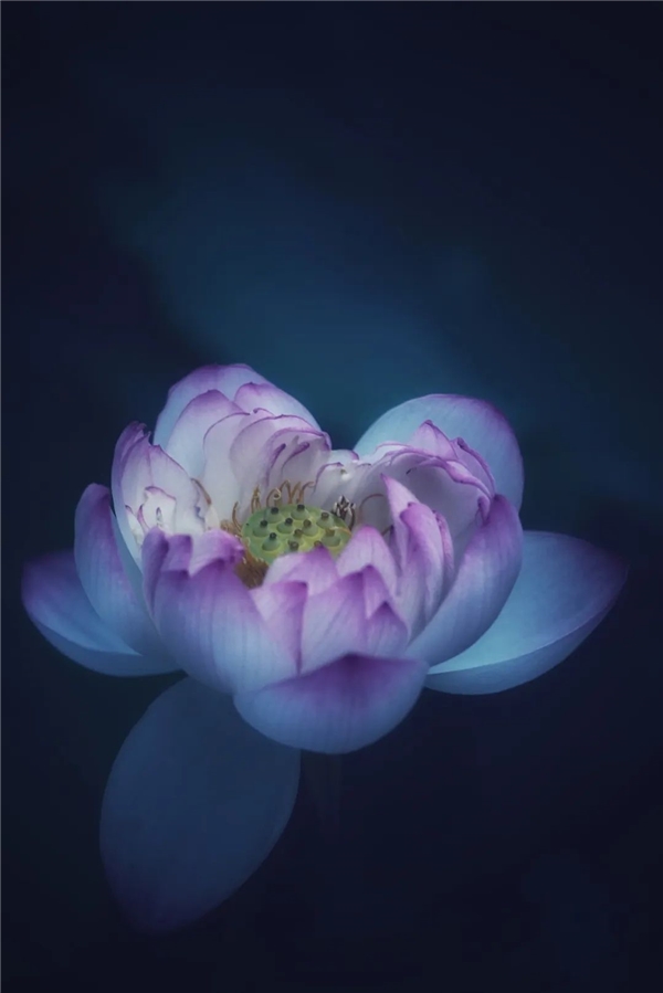 640-1.jpeg 640-1.jpeg