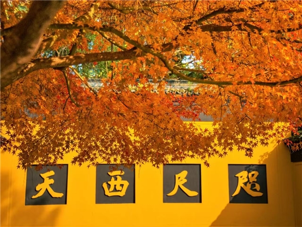 WechatIMG36.jpeg WechatIMG36.jpeg